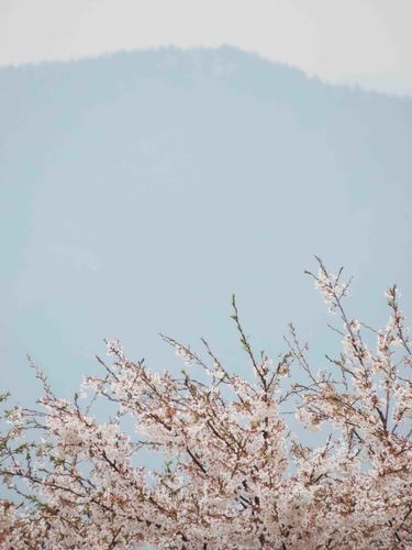 20150419-m.jpg